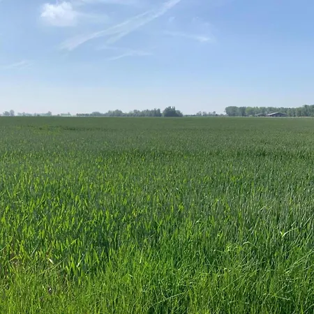 In By The Nieuwpoort