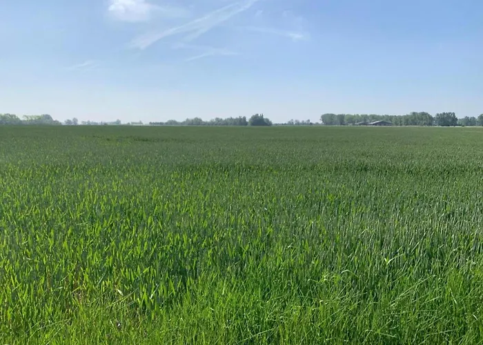 In By The Nieuwpoort