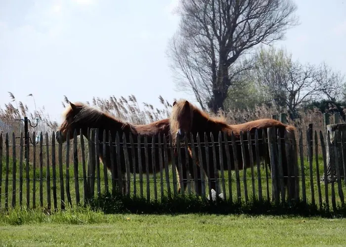 Διαμέρισμα In By The Nieuwpoort