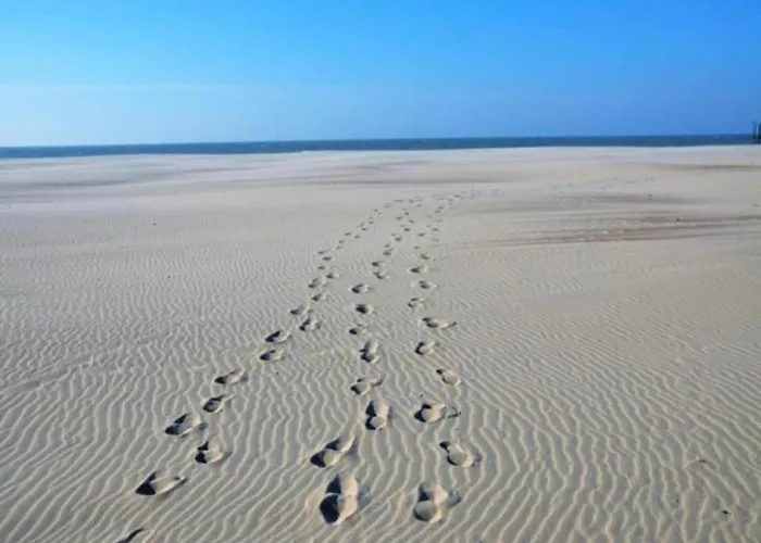 In By The Διαμέρισμα